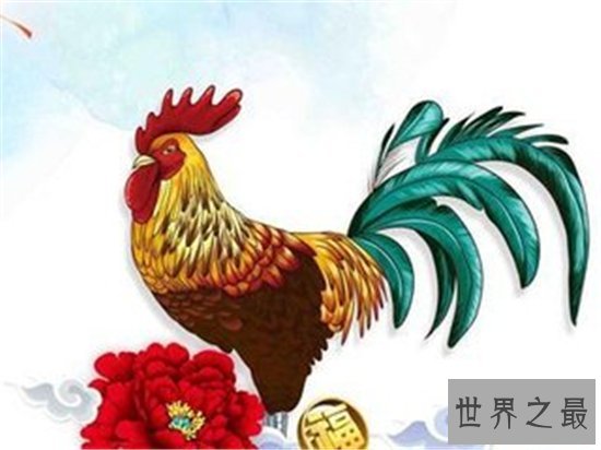属鸡的今年多大勤劳的属鸡人好到爆炸的运势究竟是为什么