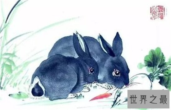 2018运势极佳的属兔人属兔的今年多大，为什么运势会这么好