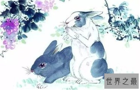 2018运势极佳的属兔人属兔的今年多大，为什么运势会这么好