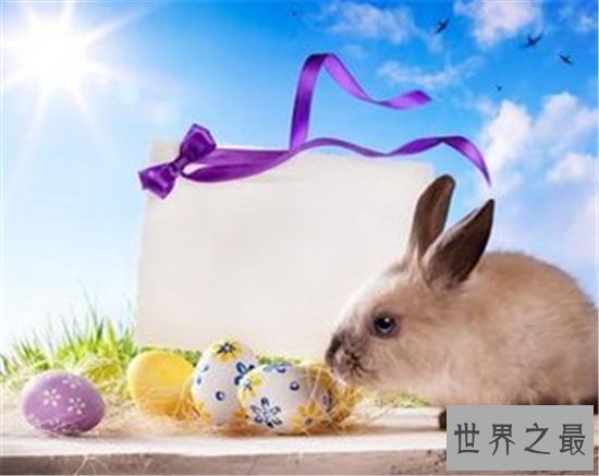 2018运势极佳的属兔人属兔的今年多大，为什么运势会这么好