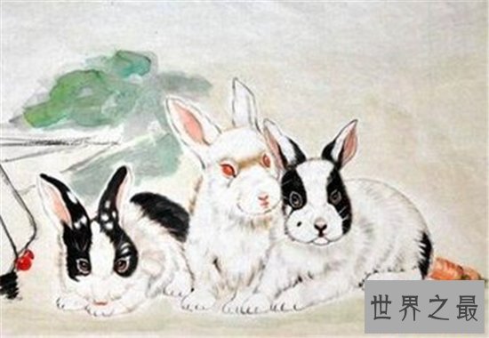 2018运势极佳的属兔人属兔的今年多大，为什么运势会这么好