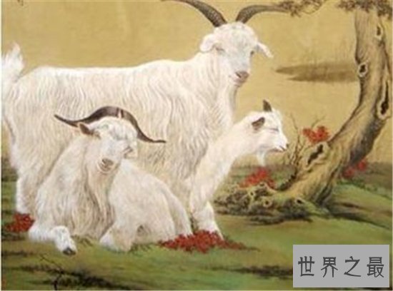 属羊的今年多大在2018年的运势为什么会突然变得这么好