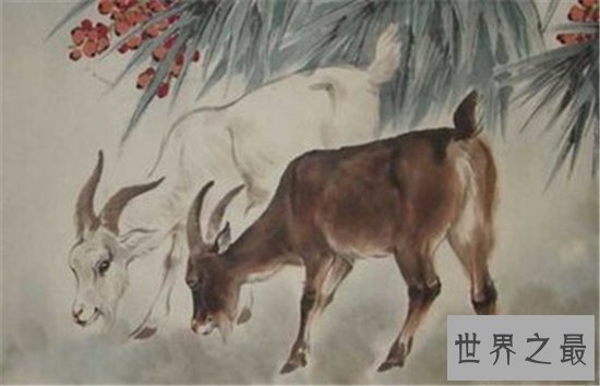 属羊的今年多大在2018年的运势为什么会突然变得这么好