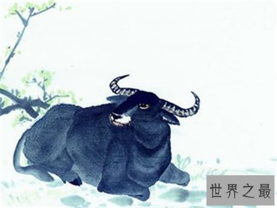 属牛的今年多大财运在2018年竟然好的可怕 为什么属牛人在2018年会发财