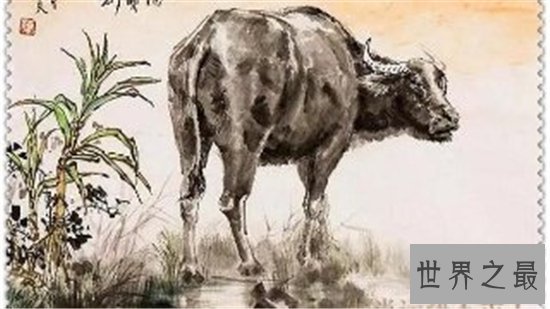 属牛的今年多大财运在2018年竟然好的可怕 为什么属牛人在2018年会发财