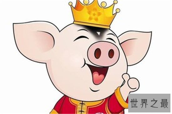 属猪人2018年好到爆炸的运势是为什么 属猪人今年多运势大才会这么好