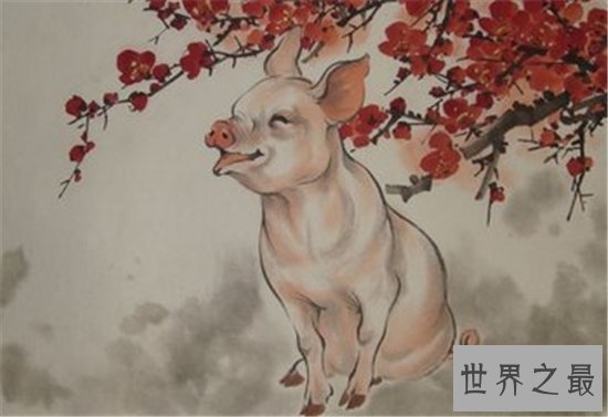 属猪人2018年好到爆炸的运势是为什么 属猪人今年多运势大才会这么好