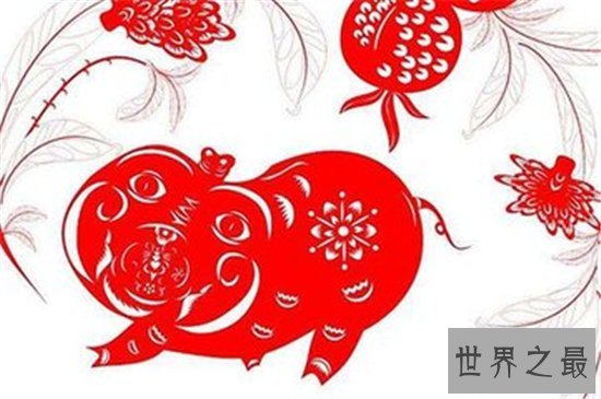 属猪人2018年好到爆炸的运势是为什么 属猪人今年多运势大才会这么好