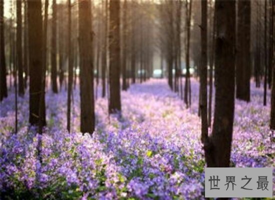 盘点2018南京理工大学排名 学校实力不容小觑！