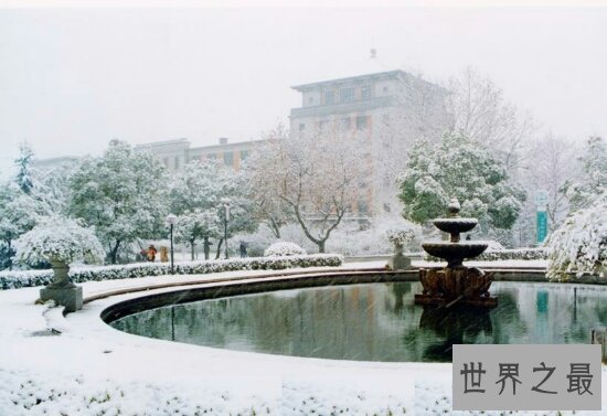 浙江大学专业排名，排在第六位的茶学专业近日十分火爆