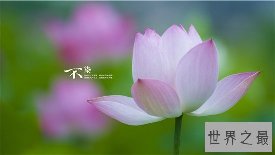 二十四节气中入伏是哪天 入伏竟然每年都不一样其中有着怎样的秘密