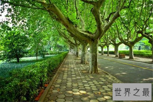 西安交通大学排名,2018最新全国排名14