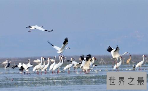 最新中国最大的湖泊排名，青海湖（中国第一大）