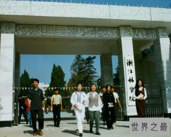 杭州有哪些大学，地上天堂竟然有这么多重点学校