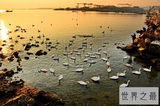 中国最美的地方第一名竟然是九寨沟！九寨沟被称为童话世界