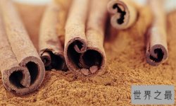 火药是什么时候发明的 火药的发明源于道家炼丹炉