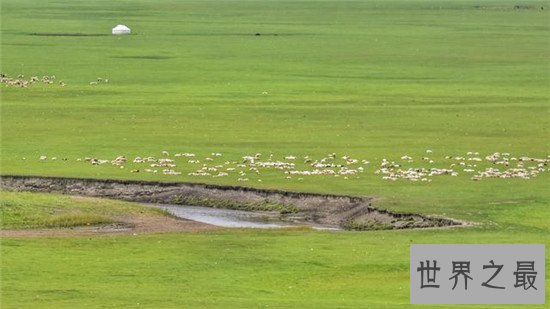 中国最大的草原呼伦贝尔 风景惊艳面积堪比一个浙江省