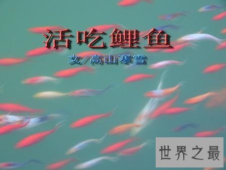 鲁菜中最残忍的一道菜--活吃鲤鱼