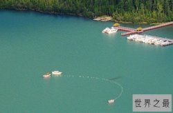 最神秘的喀纳斯水怪传说，至今仍是未解之谜