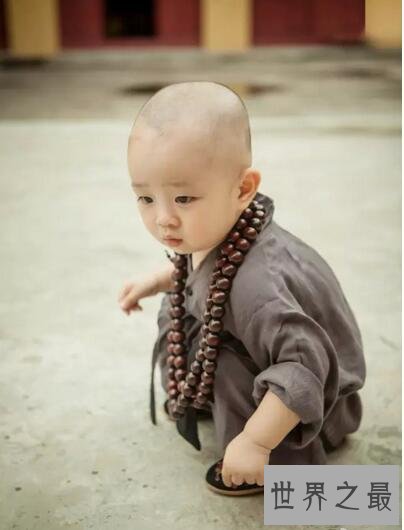 中国最萌小和尚,游客看到都会与他合影(萌翻一切)