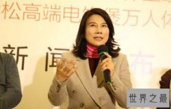 2017中国最杰出商界女性，格力董事长董明珠第一