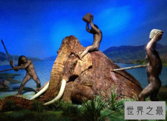 中国最大的旧石器专题馆，泥河湾博物馆