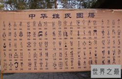 中华上古八大姓，姬姜姚嬴姒妘妫妊(百家姓的祖先)