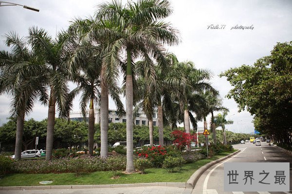 中国空气质量最好的城市，没有雾霾只有氧气(活百岁)