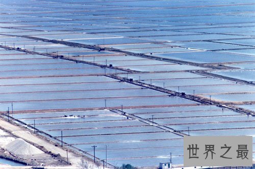 我国最大的盐场,长芦盐场(占中国总产量的25%)