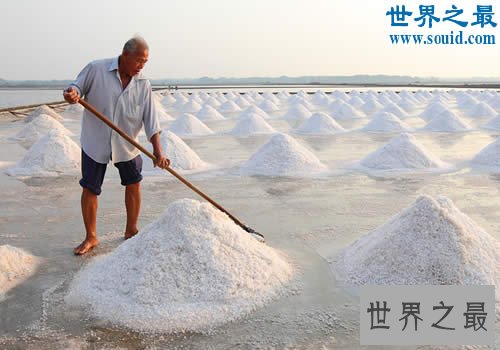 我国最大的盐场,长芦盐场(占中国总产量的25%)