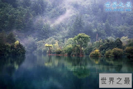 中国最大的原始森林，大兴安岭