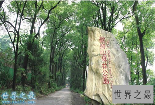 重庆最高的山,阴条岭(2886米)