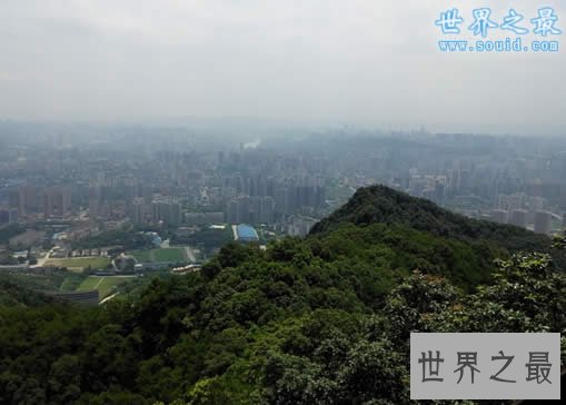 重庆最高的山,阴条岭(2886米)
