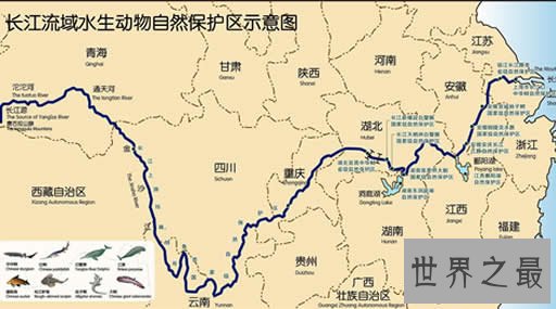 中国最长的河流,长江(哺育中国的长龙)