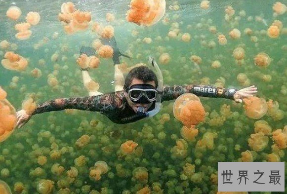 世界十大最奇特的湖泊,全部都是你意想不到的