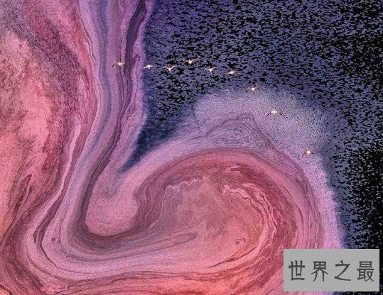 世界十大最奇特的湖泊,全部都是你意想不到的