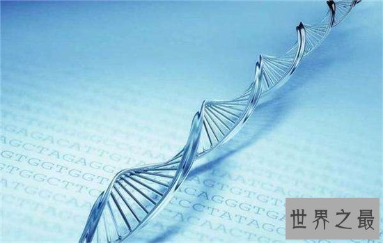 美国十大最佳职业,盘点高薪又轻松的十大职业!