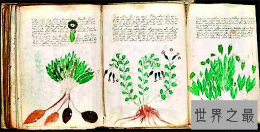 考古发现之十大未解之谜,亚特兰国度为什么会消失