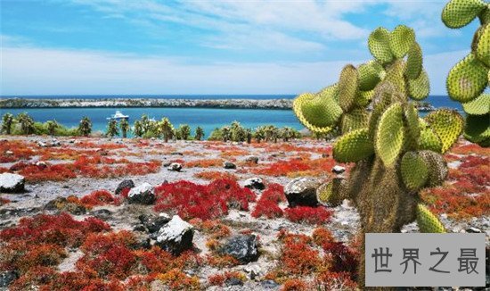 世界十大自然遗产,维多利亚瀑布的彩虹值得一看