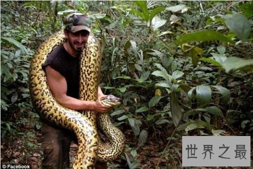 全球十大超能力动物,它的能力最为出众。