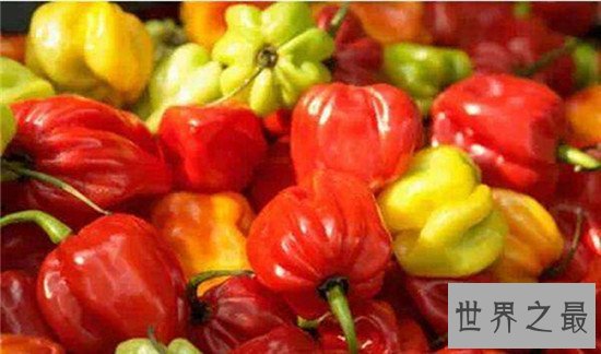 世界上最辣的辣椒TOP10,这种辣椒以死神为名!