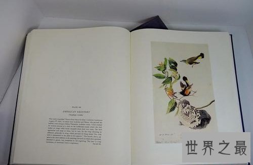 世界十大最昂贵的书籍,大家真的都读过吗?