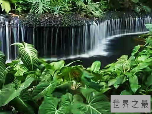 世界十大公园,每一个都像是童话中的梦境。