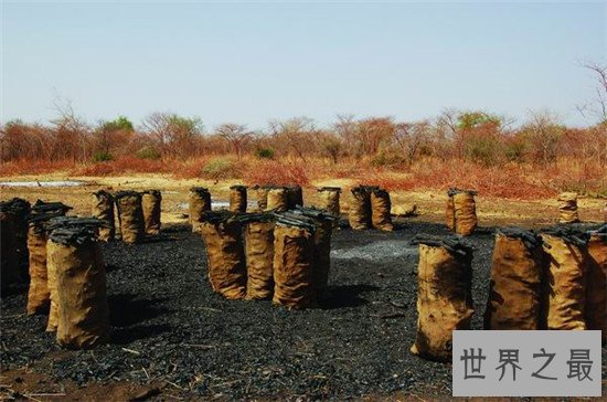 世界十大全球性问题,这难道不是我们自身的原因吗?