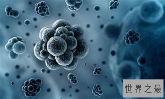 世界十大全球性问题,这难道不是我们自身的原因吗?