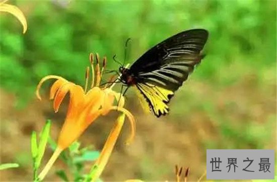 世界十大全球性问题,这难道不是我们自身的原因吗?