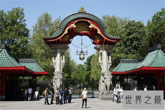 世界最大的动物园排名,盘点世界上那些最值得去的动物园!