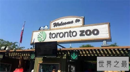 世界最大的动物园排名,盘点世界上那些最值得去的动物园!
