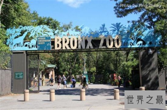 世界最大的动物园排名,盘点世界上那些最值得去的动物园!
