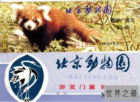 世界最大的动物园排名,盘点世界上那些最值得去的动物园!